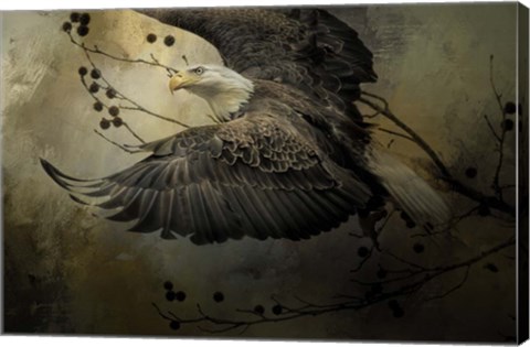 Framed Eagle Rising Print