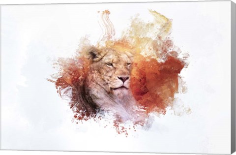 Framed Expressions Lion 2 Print