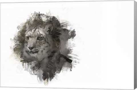 Framed Expressions Snow Leopard 2 Print