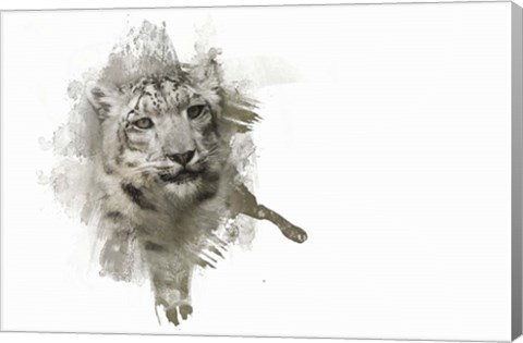 Framed Expressions Snow Leopard Print