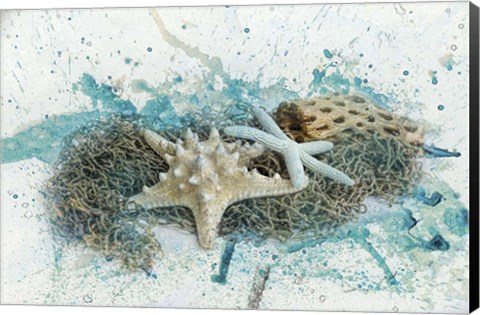 Framed Found At Sea Print