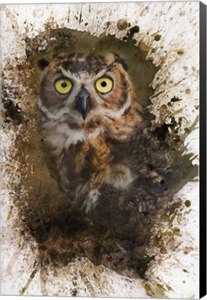 Framed Great Horned Owl In The Cemetery Print