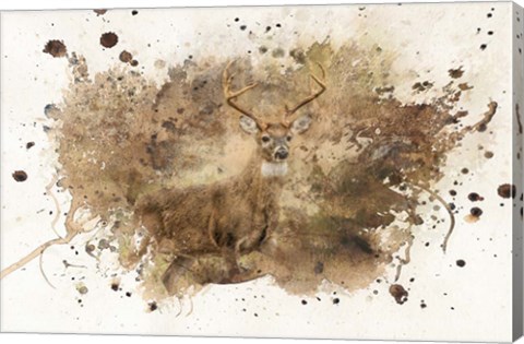 Framed Looking For Her Print