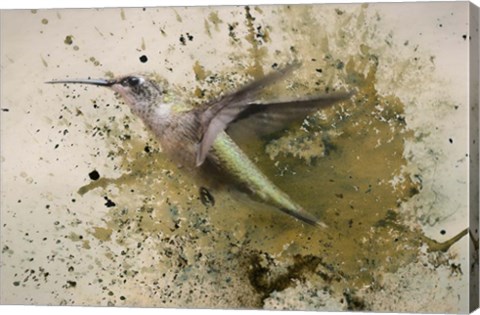 Framed On The Fly Print