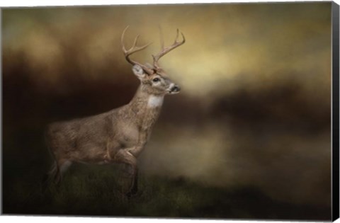 Framed Streamside Buck Print
