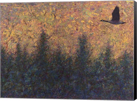 Framed Solitary Goose Print