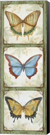 Framed Butterflies Print