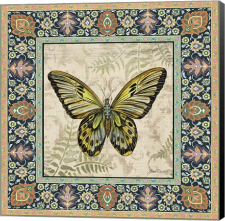 Framed Vintage Butterfly Print