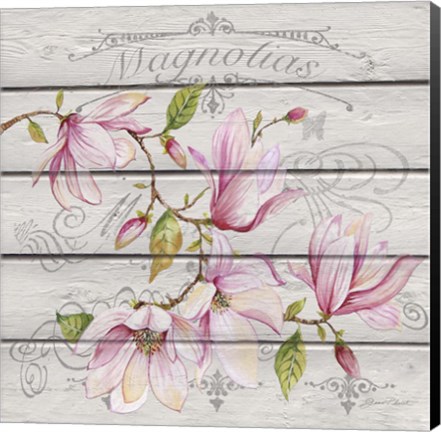 Framed Pink Magnolias I Print