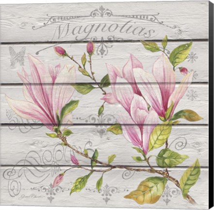 Framed Pink Magnolias II Print