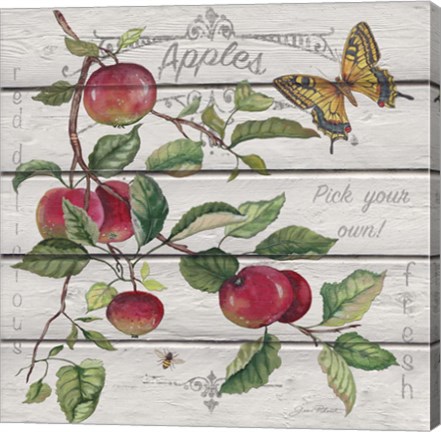Framed Red Delicious Apples Print