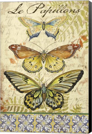 Framed Vintage Wings - Le Papillons Print