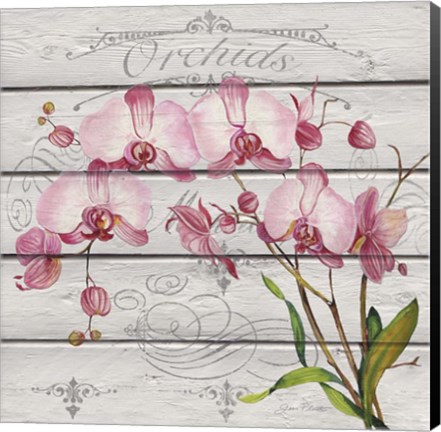 Framed Pink Orchids Print