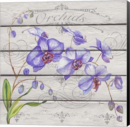 Framed Purple Orchids Print