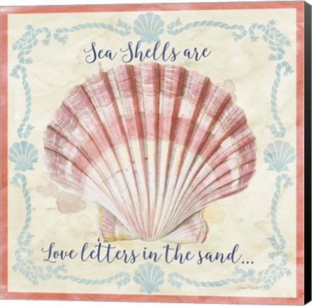 Framed Sea Shells  -  A Print