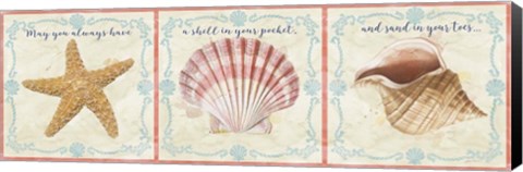 Framed Sea Shells  -  E Print