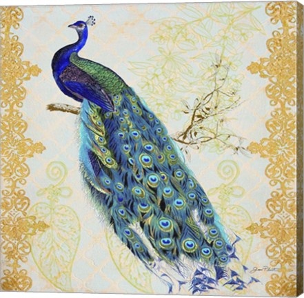 Framed Beautiful Peacock  -  B Print