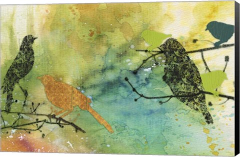 Framed Birds On Watercolor  -  A Print