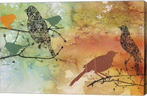 Framed Birds On Watercolor  -  B Print