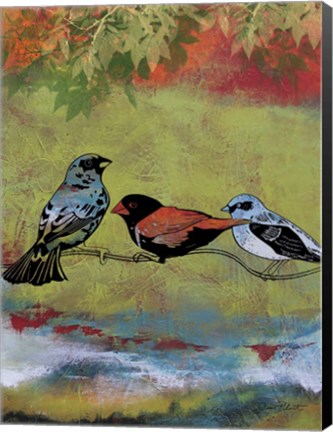 Framed Birds In The Valley  -  B Print