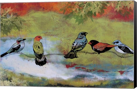 Framed Birds The Valley Print