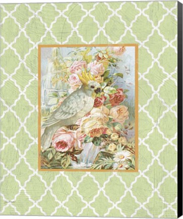 Framed Cockatiel Beauty  -  B  -  Green Print