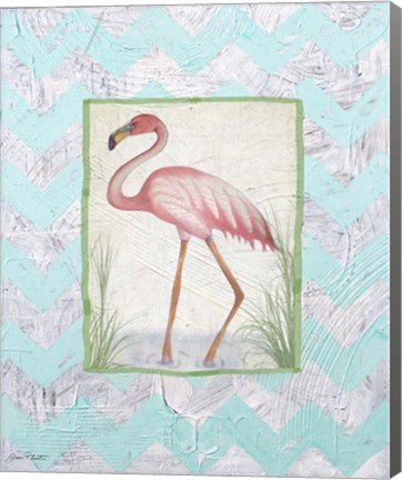 Framed Flamingo Print