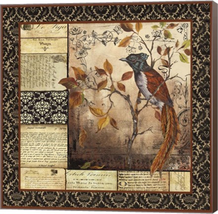 Framed Paradise Flycatcher Collage Print