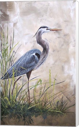 Framed In The Reeds - Blue Heron - A Print