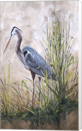 Framed In The Reeds - Blue Heron - B Print