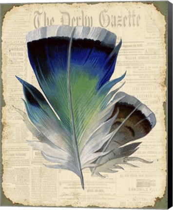 Framed Elegant Feather - A Print