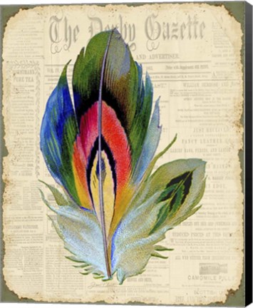 Framed Elegant Feather - B Print