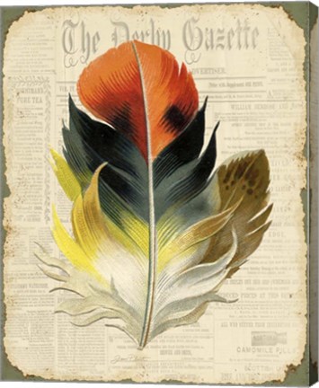 Framed Elegant Feather - C Print
