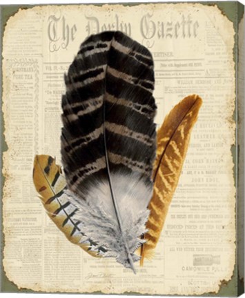 Framed Elegant Feather - D Print