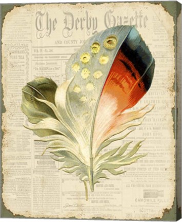 Framed Elegant Feather - E Print