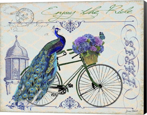 Framed Peacock On Bicylce I Print