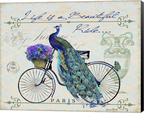 Framed Peacock On Bicylce II Print