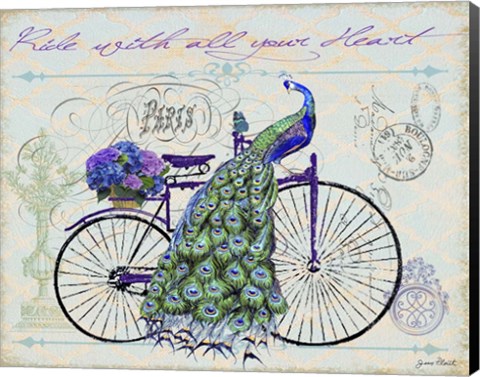 Framed Peacock On Bicylce III Print