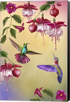 Framed Fuchsias &amp; Hummingbirds Print