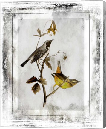 Framed Birds With Class - A Print