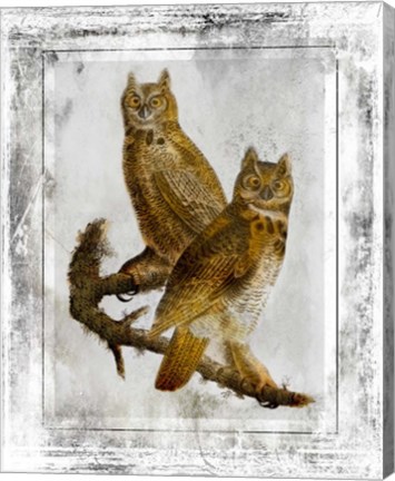 Framed Birds With Class - E Print