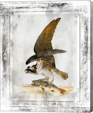 Framed Birds With Class - G Print