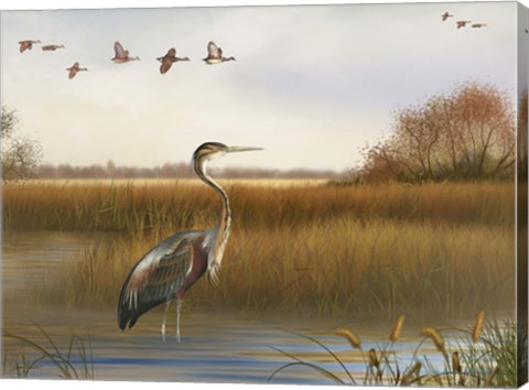 Framed Great Marsh - A Print