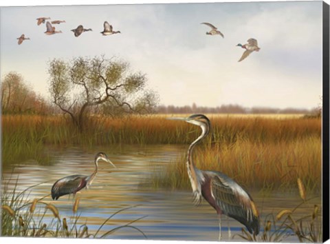 Framed Great Marsh - B Print