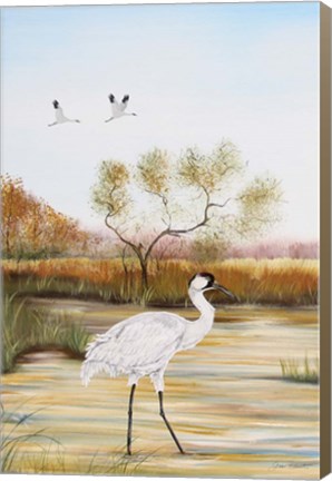 Framed Whooping Cranes - B Print