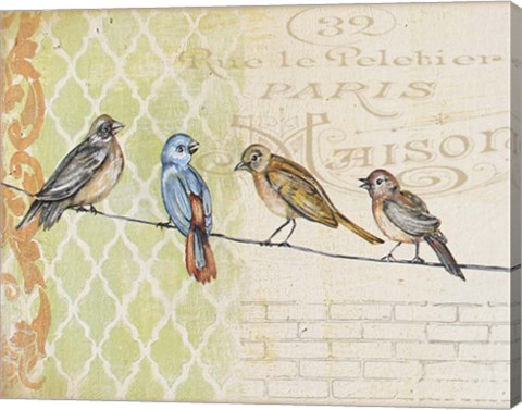 Framed Birds Gathered On Wire - Paris Wall - A Print