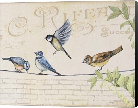 Framed Birds Gathered On Wire - Paris Wall - B Print