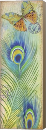 Framed Peacock Feather Souvenirs I Print