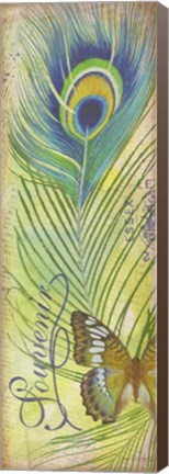 Framed Peacock Feather Souvenirs II Print
