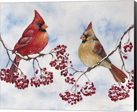 Framed Cardinal And Winter Berries - C Print